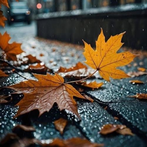 دانلود آهنگ برام حسی نمونده این زمونه یه سرابه بی امونه 