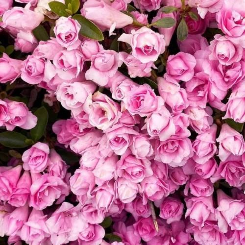 دانلود آهنگ باشه برو جونم فدات میرن یه روز آدمای خوبم از یاد