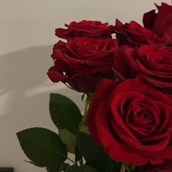 دانلود آهنگ دروغه دلسوزی و محبت همه تون فقط واقعیه گریه های مادرم