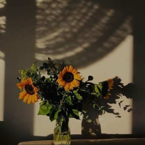 دانلود آهنگ چرا بد میشن برا ما همه نمیدونم شایدم از دل سادمه دانلود آهنگ چرا بد میشن برا ما همه نمیدونم شایدم از دل سادمه