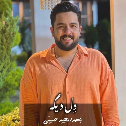 دانلود آهنگ جدید دل دیگه از مجید حسینی دانلود آهنگ جدید دل دیگه از مجید حسینی