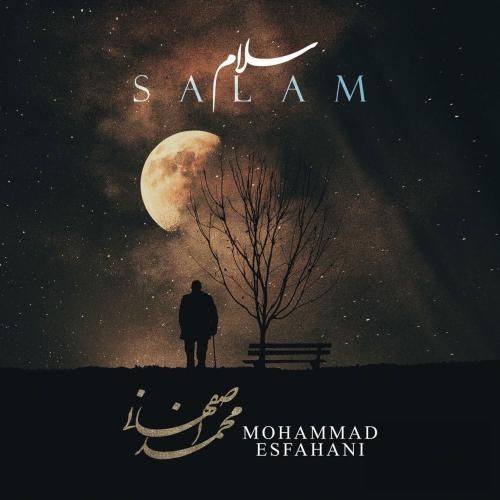 دانلود آهنگ جدید سلام از محمد اصفهانی