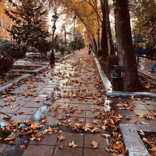 دانلود آهنگ دارم بهش حس پیدا میکنم چیزی نمونده بغلش کنم دانلود آهنگ دارم بهش حس پیدا میکنم چیزی نمونده بغلش کنم
