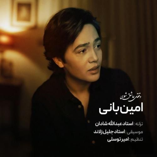 دانلود آهنگ جدید وقتی عاشق شوی از امین بانی