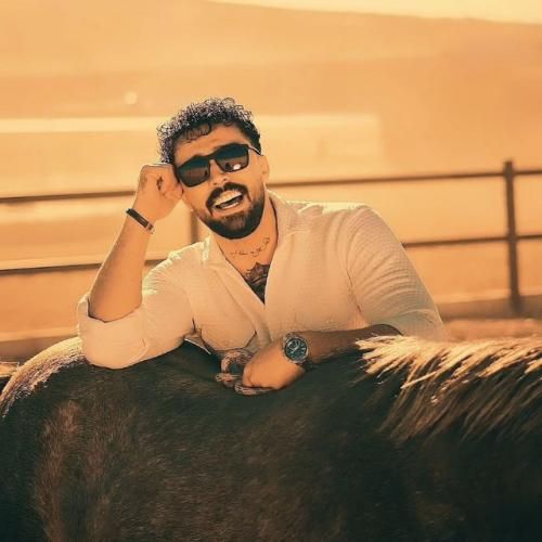 دانلود آهنگ جدید یک شب از پوریا محمدی