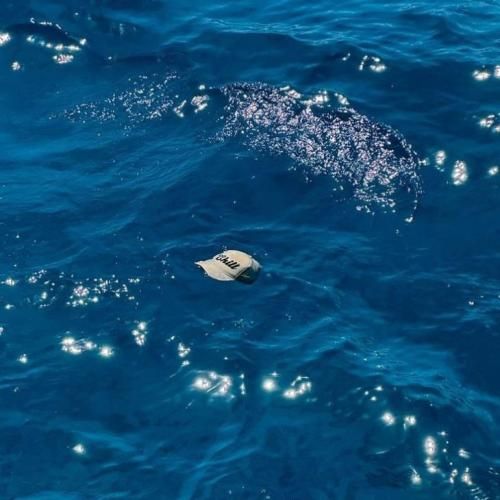 دانلود آهنگ باز شد آخر هفته میریم با تو بعده افتر هرچی رو میزه رفته