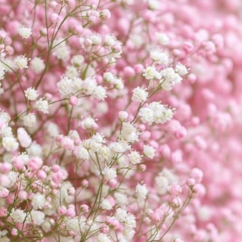 دانلود آهنگ دریا اولین عشق مرا بردی دنیا دم به دم مرا تو آزردی