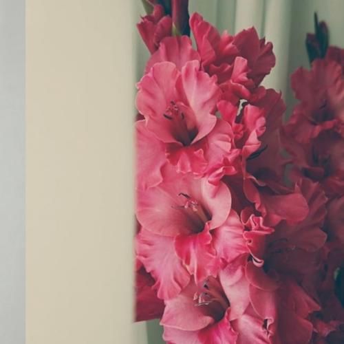 دانلود آهنگ جدید سراب از سنا برزنجه