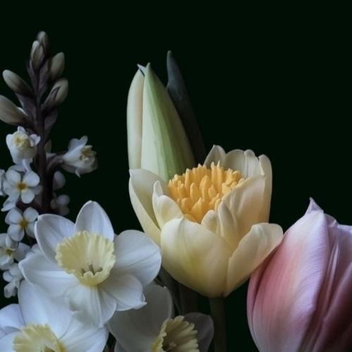 دانلود آهنگ دیگه احساس نمونده توم هرچی دیدی