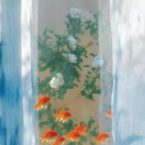 دانلود آهنگ میرم پیش گرگا برا شام ریز بگو داداشام