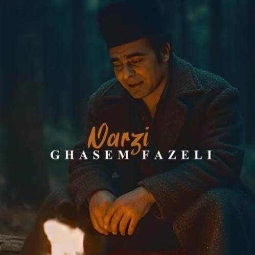 دانلود آهنگ جدید نرزی از قاسم فاضلی