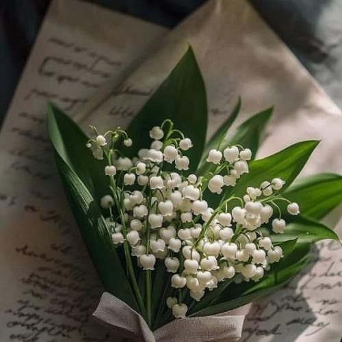 دانلود آهنگ تو به من میگی بد ولی خودخواهی تو به من میگی