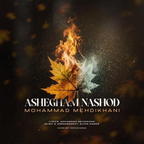 دانلود آهنگ جدید عاشقم نشد از محمد مهدی خواه