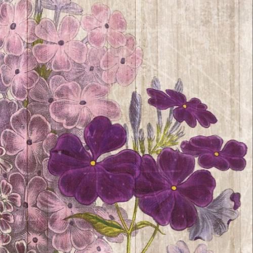 دانلود آهنگ چیزی نمیکنه حال منو بد پسر واسه خودم شخصا