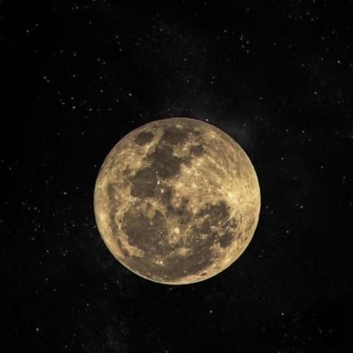 دانلود آهنگ واسه امشب فکر و خیال کنسل دور هم جمع پیک و بیار