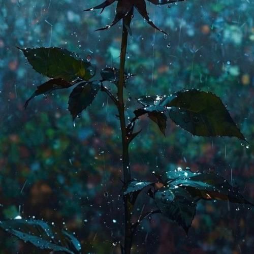 دانلود آهنگ نفرست دیگه واسه من دسته گل الان من شدم یه روانی