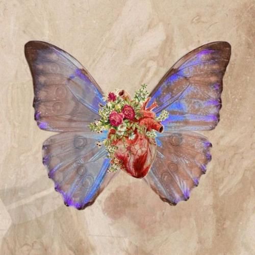 دانلود آهنگ انت حبیبی انت حیاتی انت حبیبی