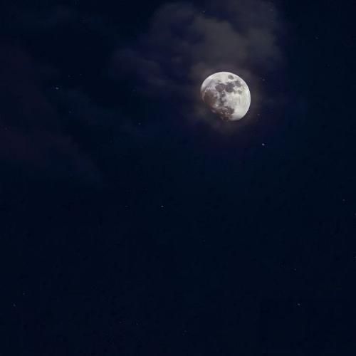 دانلود آهنگ با یه چوب کبریت آتیش میزنم یه جنگلو برات