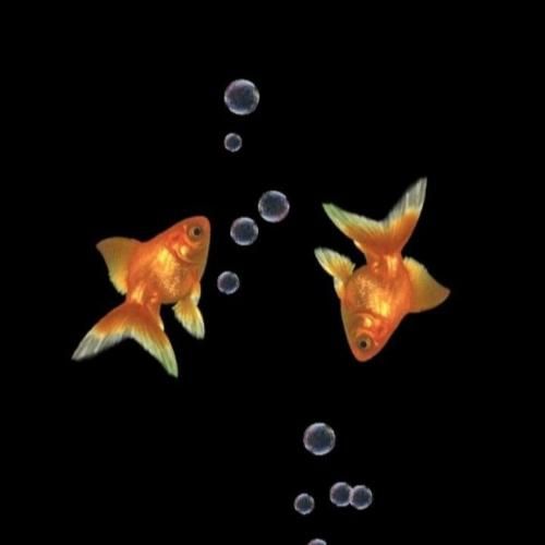 دانلود ریمیکس یاور همیشه مومن تو برو سفر سلامت