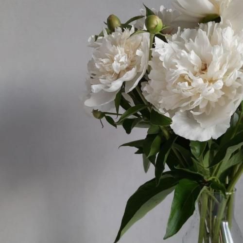 دانلود ریمیکس نکشیدیم زیر و رو زندگیمو تف میکنم تو روی