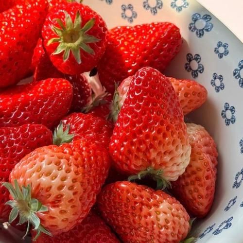 دانلود آهنگ منم مث تو زندگیم پر از غصه درست