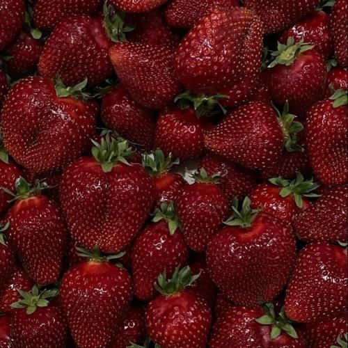 دانلود آهنگ سال دیگه همین موقع میبرمت میامی بچه تهران 