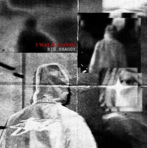 دانلود آهنگ جدید I Walk Alone از بیگ شگی