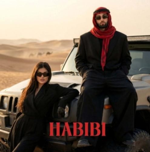 دانلود آهنگ حبیبی آرتا