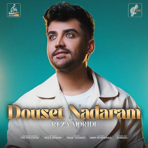 دانلود آهنگ جدید دوست ندارم از رضا مریدی