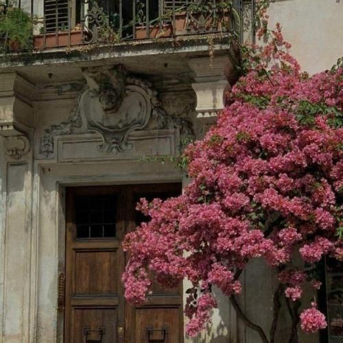 دانلود آهنگ امشب این مسکنا هم کم نکرد آتیشمو (هوش مصنوعی)