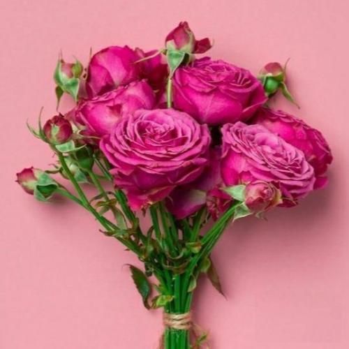 دانلود آهنگ چی بخونم واستون خودتون آهنگین 