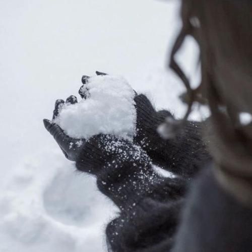 دانلود آهنگ تو که ترسو تو دلت کشتیش دیدی بهت گفتم