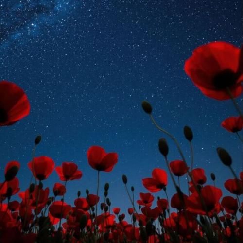 دانلود آهنگ امیدمون به تهش بود اینم از این آخری نشونم بده بینم