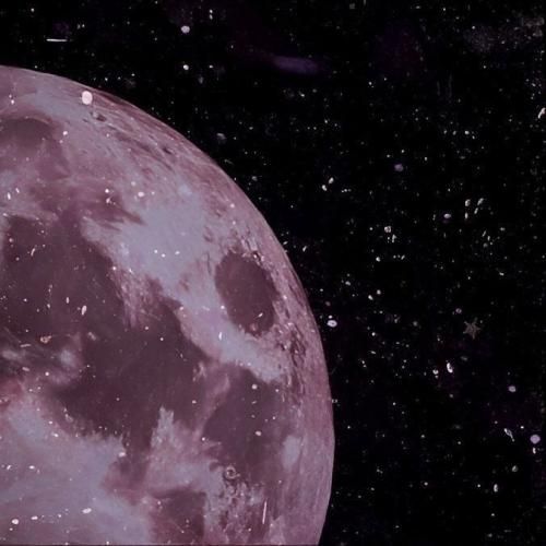 دانلود آهنگ گوسفندا دخیل میبندن به قفس گرگ نفرت میچکه