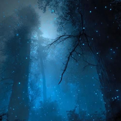 دانلود آهنگ به رفیقام بگو دمشون گرم دیگه نپوشن پیرهن سیاه