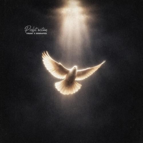 دانلود آهنگ پیشت نیستم ویناک