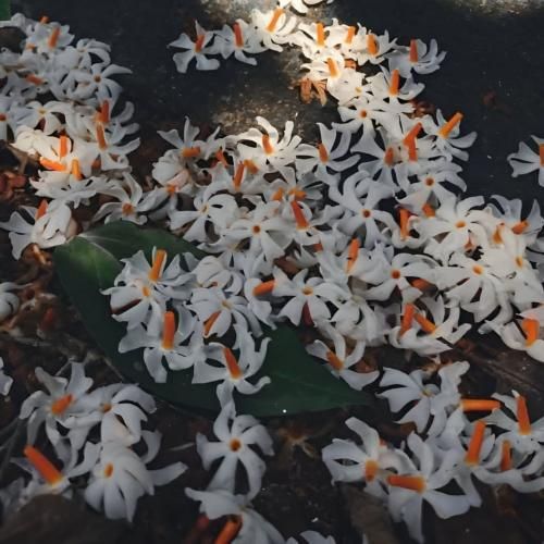 دانلود آهنگ انگاری من زیادی ام دیگه واسه تو عادی ام با صدای دختر