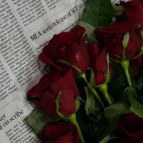 دانلود آهنگ We Are Still Here با صدای زن هوش مصنوعی