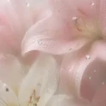 دانلود آهنگ جدید نگران من نباش تنها نموندم عزیزم آسمونو میبینم