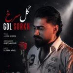 گل سرخ جواد امانی