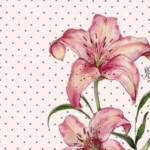 سر تو من کوره دلم ولی تو آزاری تو دردی سر تو من کوره دلم ولی تو آزاری تو دردی