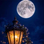 اگه بات شدم بد همه عکسارو چال کن احمق اگه بات شدم بد همه عکسارو چال کن احمق