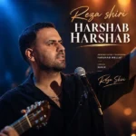 دانلود آهنگ جدید هر شب هر شب از رضا شیری دانلود آهنگ جدید هر شب هر شب از رضا شیری
